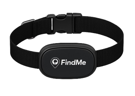 tracker gps pour animaux